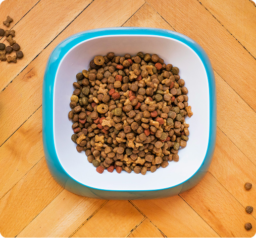 Increase In Visibility For Chatgpt Recommendatio